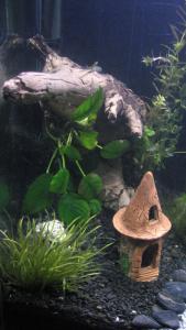 gallery_10949_540_24044.jpg