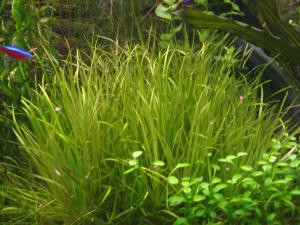 gallery_10157_469_397924.jpg