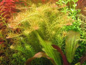 gallery_10157_557_637757.jpg