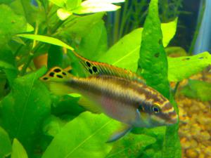 gallery_11300_551_354432.jpg