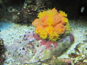 gallery_11414_572_319329.jpg