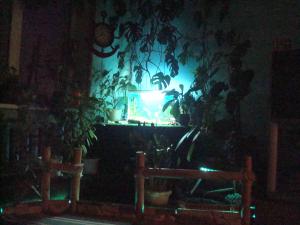 gallery_11574_579_1259125.jpg