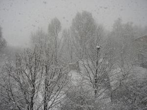 gallery_4154_586_1748397.jpg
