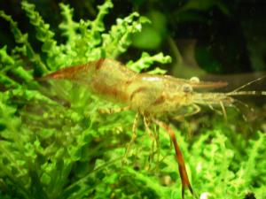 gallery_1894_590_436684.jpg