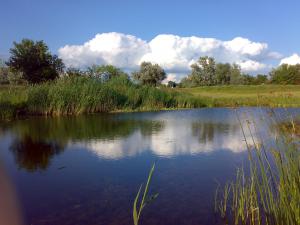 gallery_11300_608_214382.jpg