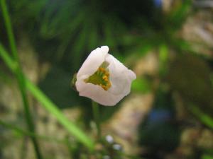 gallery_11723_614_179722.jpg
