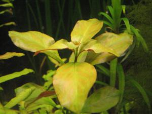 gallery_11723_614_773351.jpg