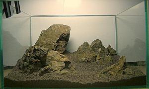 gallery_4183_624_54202.jpg