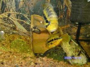 gallery_12346_627_28765.jpg