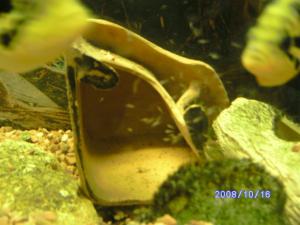gallery_12346_627_48583.jpg