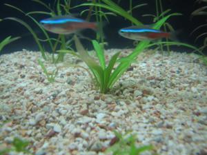 gallery_8697_430_185606.jpg