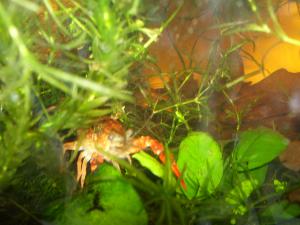 gallery_9227_646_1184578.jpg