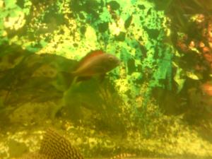 gallery_10859_648_272432.jpg