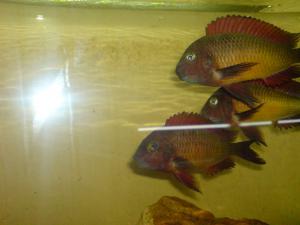 gallery_10859_648_278606.jpg