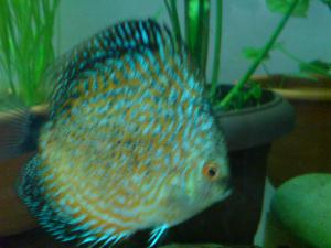 gallery_12503_657_107146.jpg