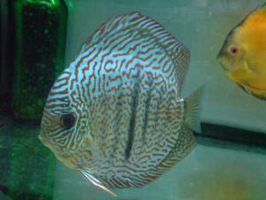 gallery_12503_657_319017.jpg