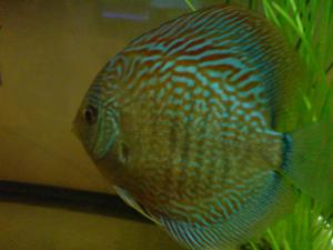 gallery_12503_657_744347.jpg