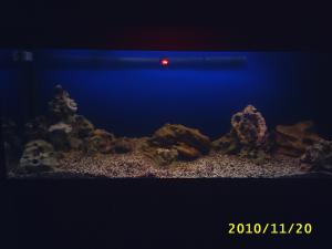 gallery_8562_565_656989.jpg