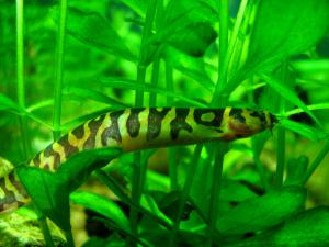 gallery_12636_675_371451.jpg