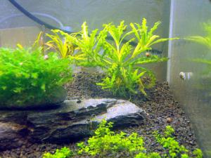 gallery_12246_665_155624.jpg