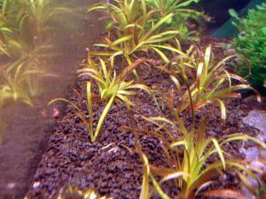 gallery_12246_665_32989.jpg