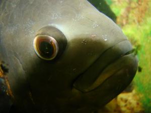 gallery_12758_689_2126995.jpg