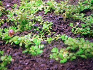 gallery_12246_665_22259.jpg