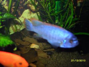 gallery_13272_707_409450.jpg