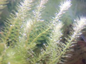 gallery_13186_708_1459160.jpg