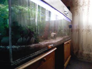 gallery_13331_710_182777.jpg