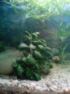 gallery_13331_710_85152.jpg