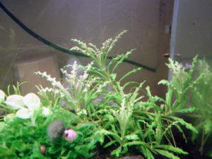 gallery_12246_665_93940.jpg