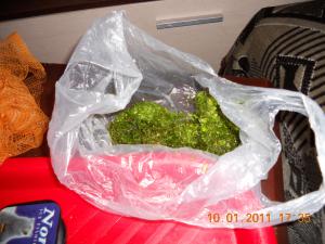 gallery_13186_716_1350107.jpg
