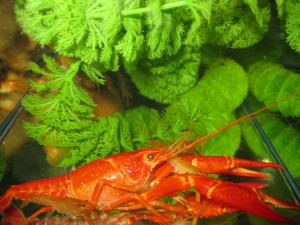 gallery_1722_724_74214.jpg