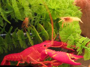 gallery_1722_724_774654.jpg