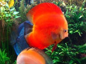 gallery_1340_729_29813.jpg