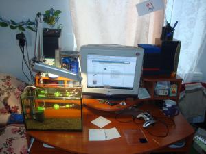 gallery_11112_737_807187.jpg
