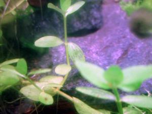 gallery_12246_665_72978.jpg