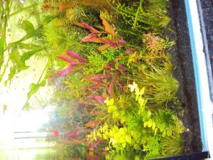 gallery_7289_276_12269.jpg