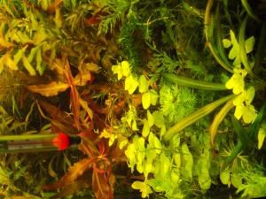 gallery_7289_276_126069.jpg
