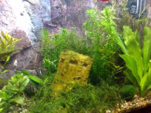 gallery_13723_749_291859.jpg
