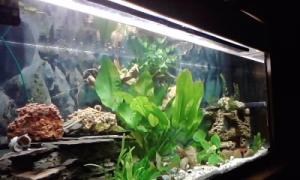 gallery_9782_758_10542.jpg