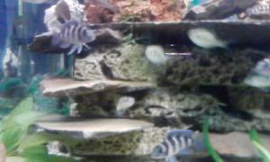 gallery_9782_758_14869.jpg