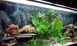 gallery_9782_758_22945.jpg