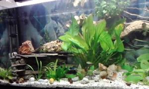 gallery_9782_758_24315.jpg