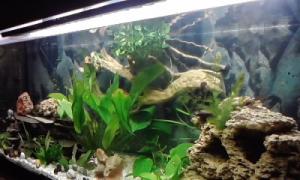gallery_9782_758_2680.jpg