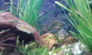 gallery_9782_758_3443.jpg