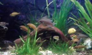 gallery_9782_758_573.jpg