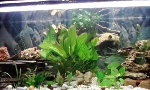 gallery_9782_758_6107.jpg
