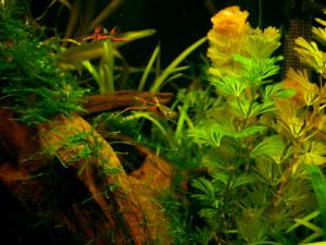 gallery_7576_774_41548.jpg